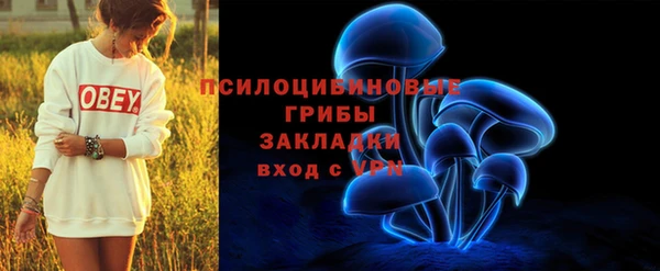 соль курить ск Алексеевка