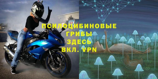 ПСИЛОЦИБИНОВЫЕ ГРИБЫ Алексин