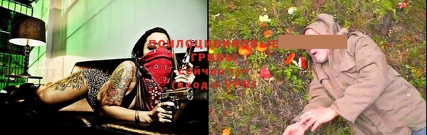 индика Навашино