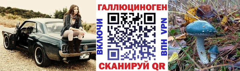 купить наркотик  Павловская  Галлюциногенные грибы MAGIC MUSHROOMS 